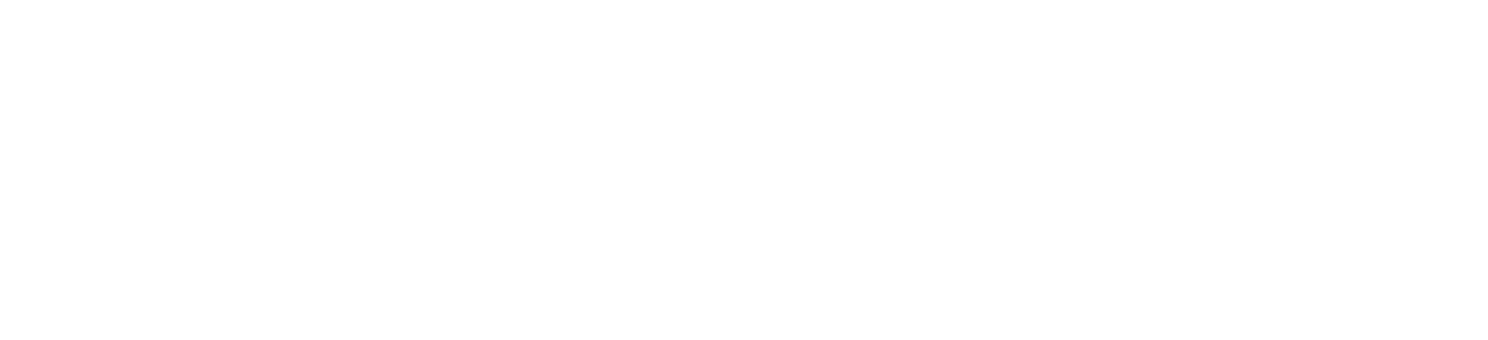 Veridix